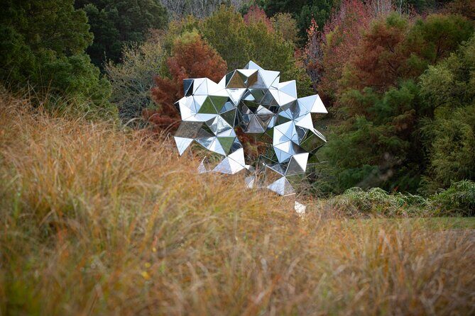 Matakana Art & Vineyard Experience incl. Lunch & Wine Tasting Tour From Auckland - The Itinerary Breakdown: What to Expect