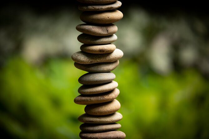 Matakana Art & Vineyard Experience incl. Lunch & Wine Tasting Tour From Auckland - Who Will Enjoy This Tour?