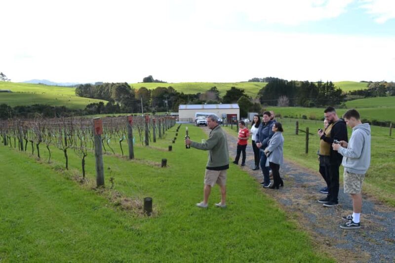 Matakana Art & Wine Village Private Tour - Sculptureum: Art in the Outdoors and Indoors