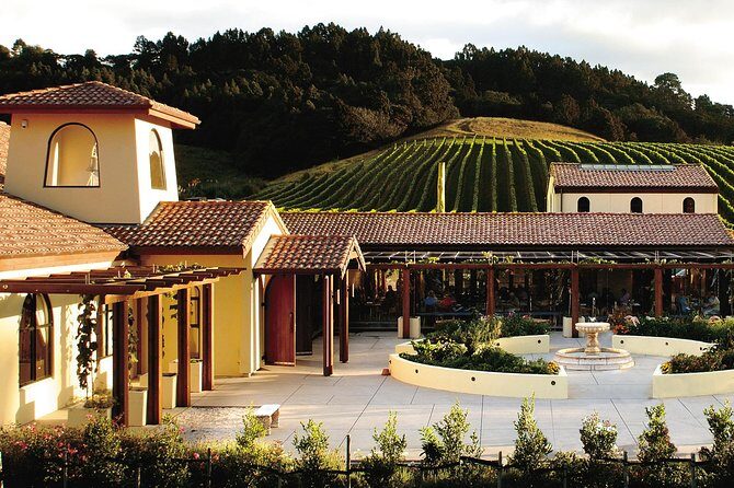 Matakana Riverside Market, Beaches and Winery Tour from Auckland - The Itinerary in Detail