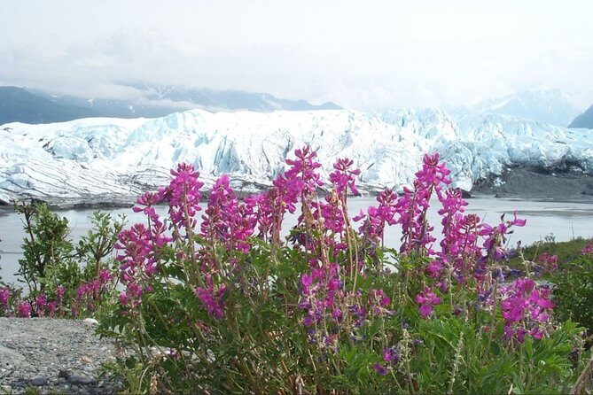 Matanuska Glacier Winter Tour - Returning to Anchorage