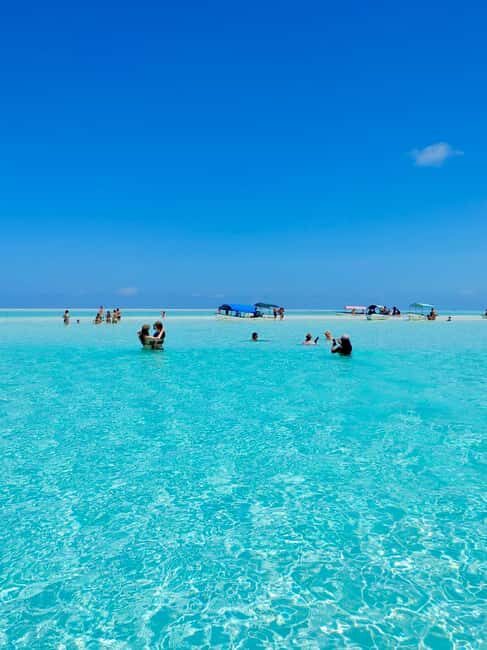 Matemwe: Mnemba Island Dolphin & Snorkeling Boat Trip - An In-Depth Look at the Tour Experience
