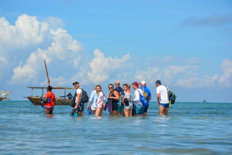 Matemwe: Mnemba Island Dolphin & Snorkeling Boat Trip - The Value of This Tour