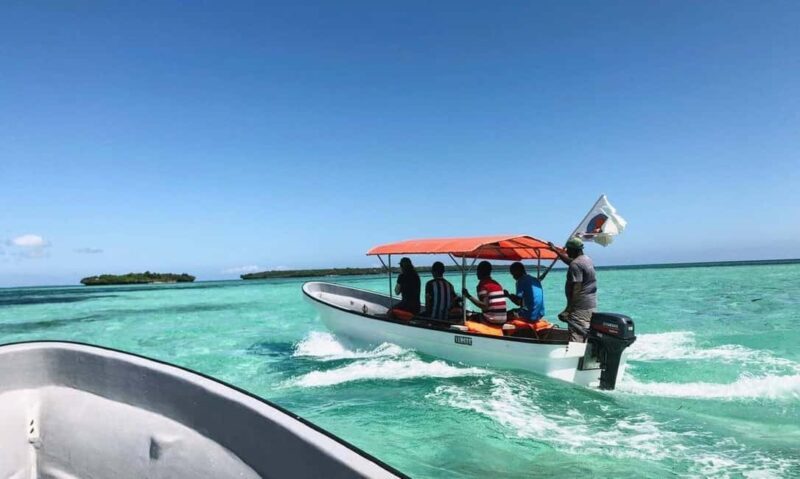Matemwe village: Half day Snorkeling trip at Mnemba Island - A Closer Look: What You Can Expect on This Tour