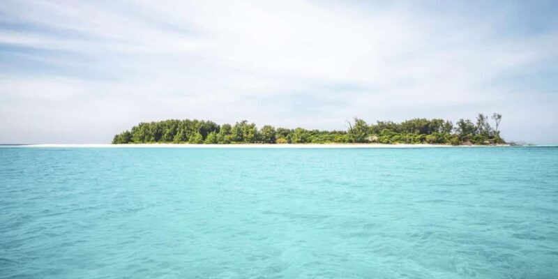 Matemwe village: Half day Snorkeling trip at Mnemba Island - Who Should Consider This Tour?
