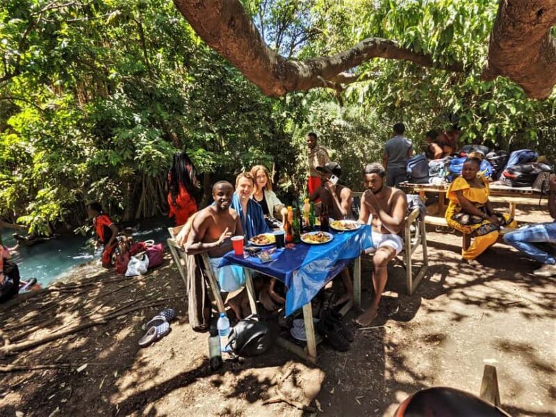 Materuni Falls, Coffee Tour & Chemka Hot Springs: Day Trip - Discovering the Heart of Materuni Village