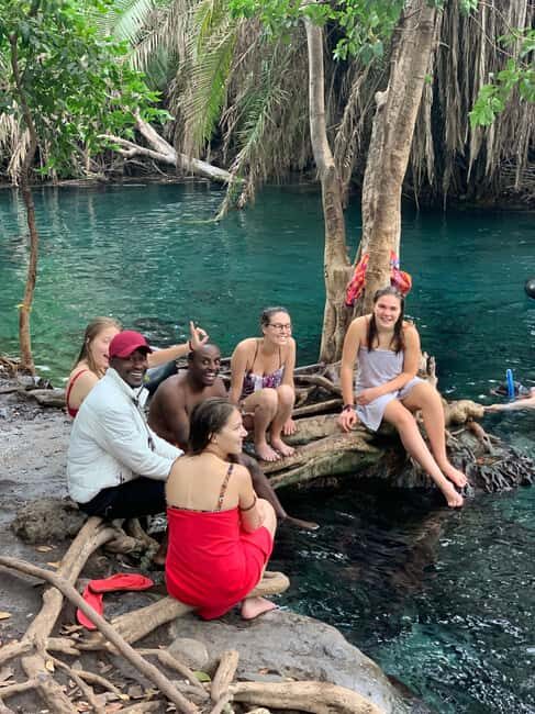 Materuni Falls, Coffee Tour & Chemka Hot Springs: Day Trip - Lunch: Savoring Local Flavors