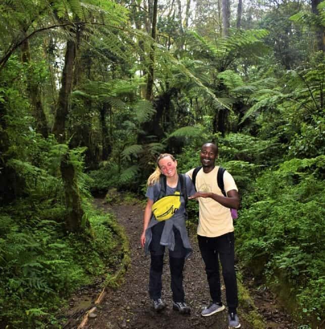 Materuni Falls, Coffee Tour & Chemka Hot Springs: Day Trip - Final Thoughts