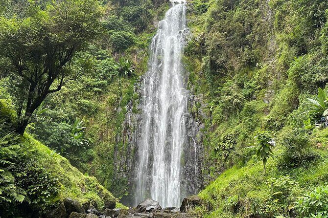 Materuni Waterfall and Coffee Plantation Half Day Tour - Introduction
