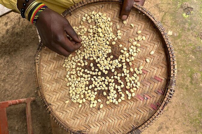 Materuni Waterfall and Coffee Plantation Half Day Tour - Key Points