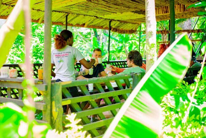 Materuni Waterfall and Kikuletwa Hot Spring Tour - An In-Depth Look at the Materuni Waterfall and Kikuletwa Hot Spring Tour