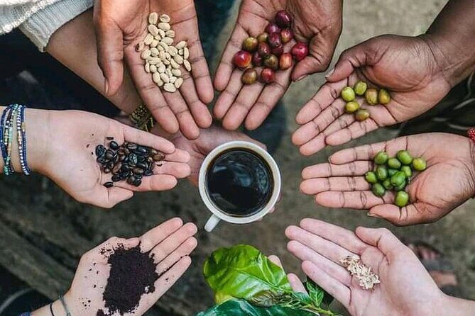 Materuni Waterfall Coffee Tour and Chemka Hot Springs Experience - Key Points