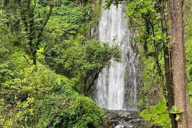 Materuni waterfall , coffee tour and hotsprings (chemka ) - Key Points