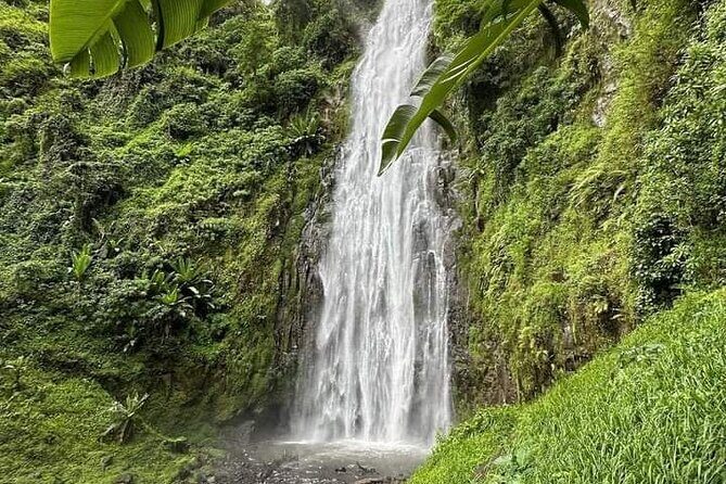 Materuni waterfall , coffee tour and hotsprings (chemka ) - An In-Depth Look at the Tour