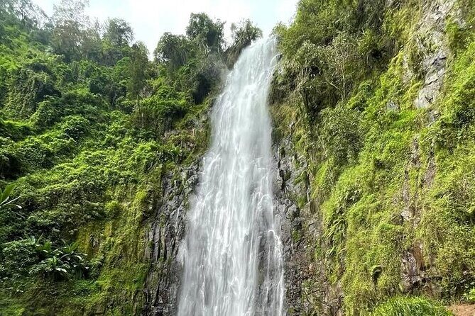 Materuni waterfall , coffee tour and hotsprings (chemka ) - Possible Drawbacks to Keep in Mind