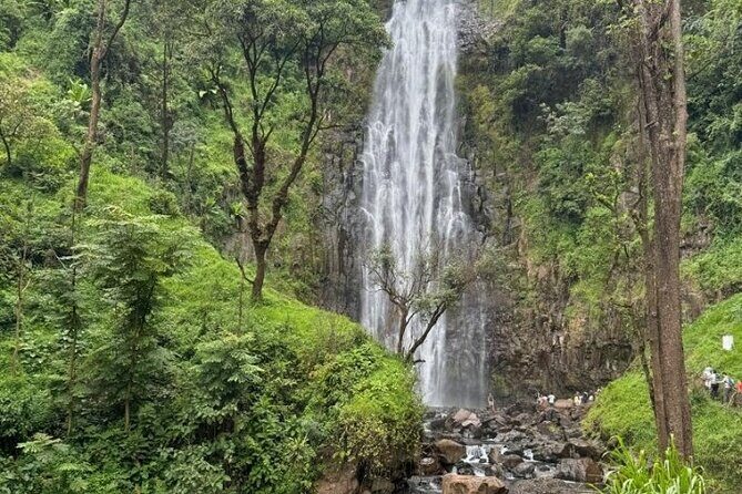 Materuni waterfall , coffee tour and hotsprings (chemka ) - Final Thoughts