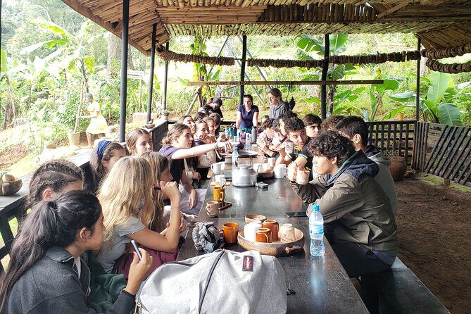 Materuni Waterfall, Coffee Tour and Picnic Hot Lunch - A Taste of Local Life: Lunch and Cultural Interaction