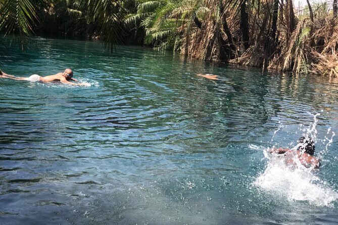 Materuni waterfall - coffee tour OR Chemka hot spring Tour - Deep Dive: What to Expect at Each Stop
