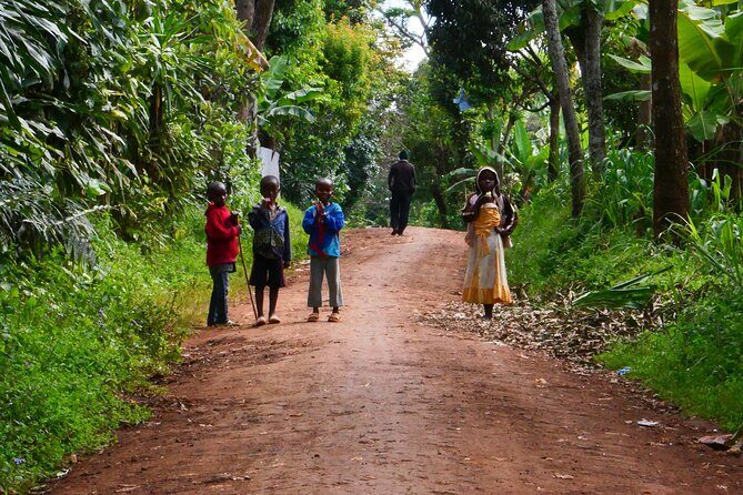 Materuni Waterfall E-Bike Day Trip - The Experience in Detail