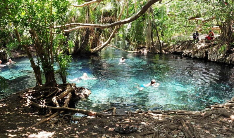 Materuni Waterfalls and Chemka Hot Springs Day Trip - A Practical Breakdown of the Tour Experience