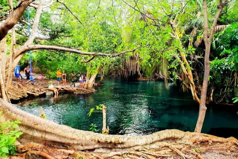 Materuni Waterfalls and Chemka Hot Springs Day Trip - Who Will Love This Tour?