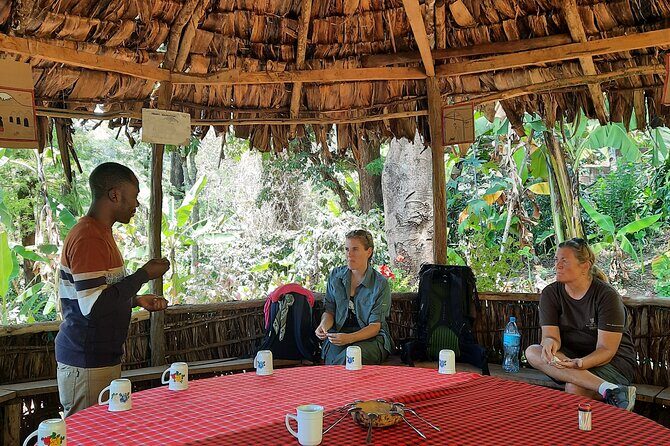 Materuni waterfalls and coffee Tour - Frequently Asked Questions
