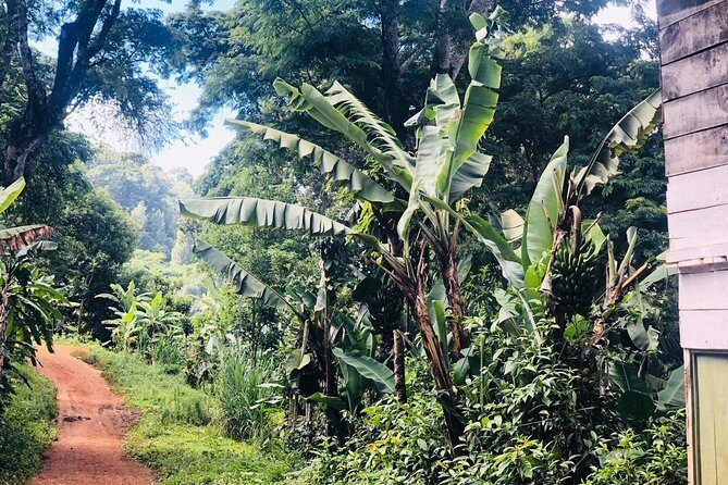 Materuni Waterfalls and Coffee Tour - Practical Details and What They Mean for You