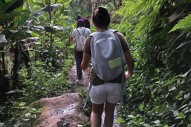Materuni Waterfalls and Coffee Tour in Moshi - The Value of the Tour