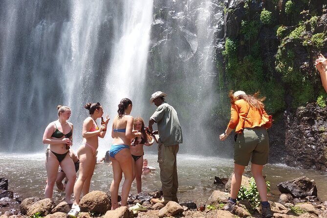 Materuni Waterfalls and Coffee Tour in Moshi - The Sum Up