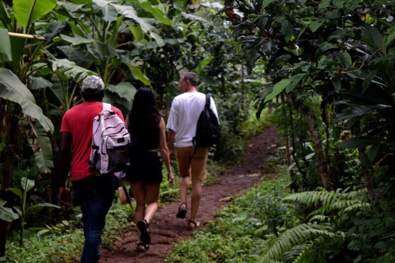 Materuni Waterfalls, Chemka Hot Springs, &/Or Coffee Tour - Key Points