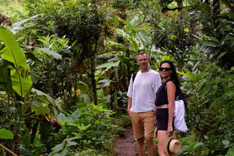 Materuni Waterfalls, Chemka Hot Springs, &/Or Coffee Tour - Introduction: What Makes This Tour Special?