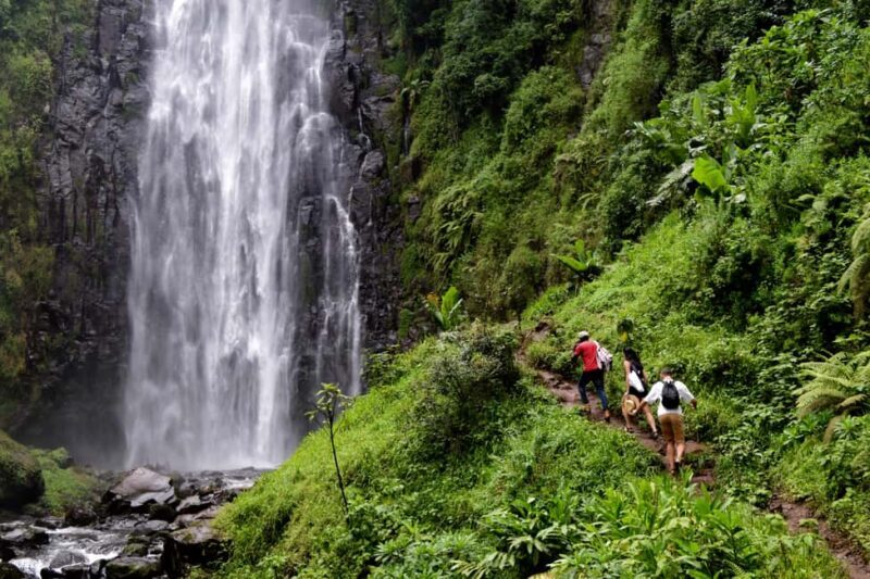 Materuni Waterfalls, Chemka Hot Springs, &/Or Coffee Tour - The Value of This Tour