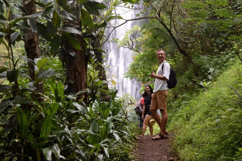 Materuni Waterfalls, Chemka Hot Springs, &/Or Coffee Tour - Detailed Breakdown of the Experience