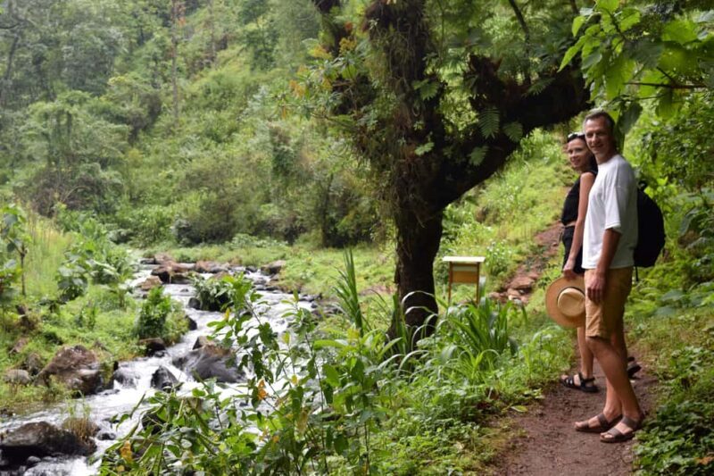 Materuni Waterfalls, Chemka Hot Springs, &/Or Coffee Tour - Practical Tips for Travelers