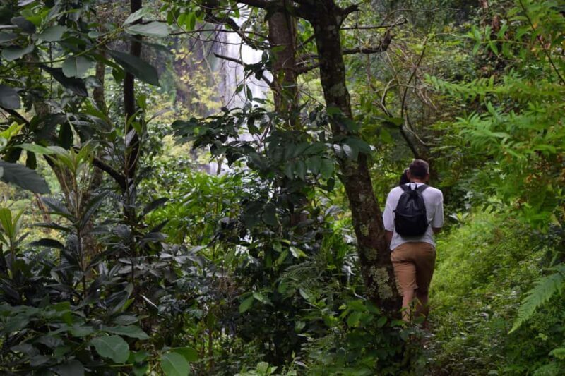 Materuni Waterfalls, Chemka Hot Springs, &/Or Coffee Tour - Who Is This Tour Best For?
