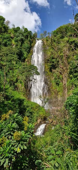 Materuni Waterfalls, Chemka Hot Springs, &/Or Coffee Tour - Key Points
