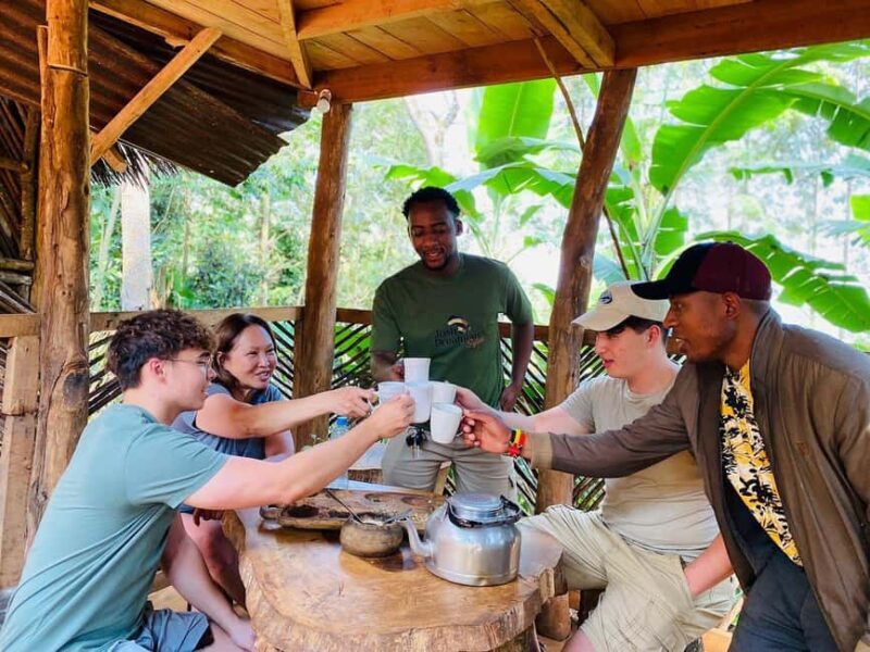 Materuni Waterfalls : Coffee Farm, and Hot Springs Day Trip - An In-Depth Look at the Tour Experience