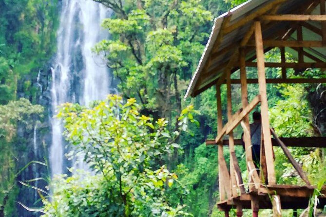 Materuni Waterfalls & Coffee Farm Tour - A Complete Look at the Materuni Waterfalls & Coffee Farm Tour