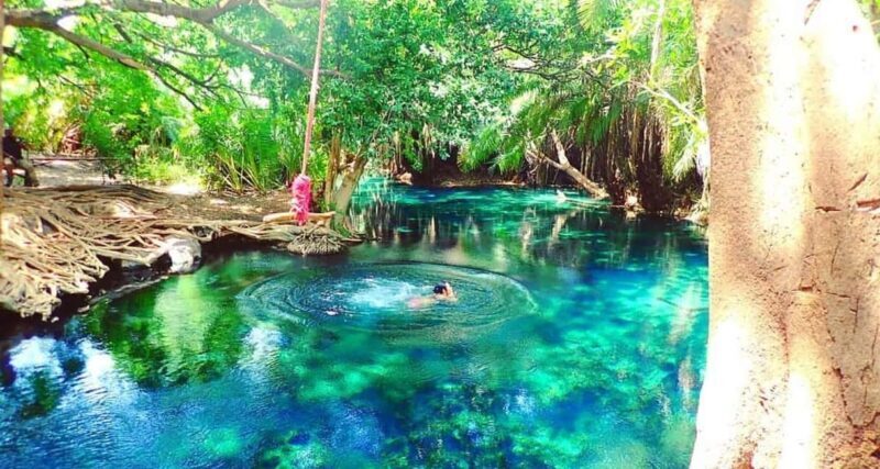 Materuni Waterfalls, Coffee & Hot Springs Day Tour - Key Points