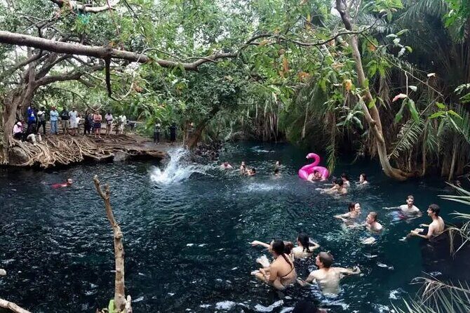Materuni waterfalls coffee tour & Chemka hot springs Day trip - Practicalities and Value