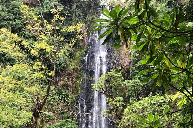 Materuni waterfalls coffee tour & Chemka hot springs Day trip - Who Will Love This Tour?