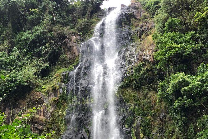 Materuni waterfalls coffee tour & Chemka hot springs Day trip - Final Thoughts