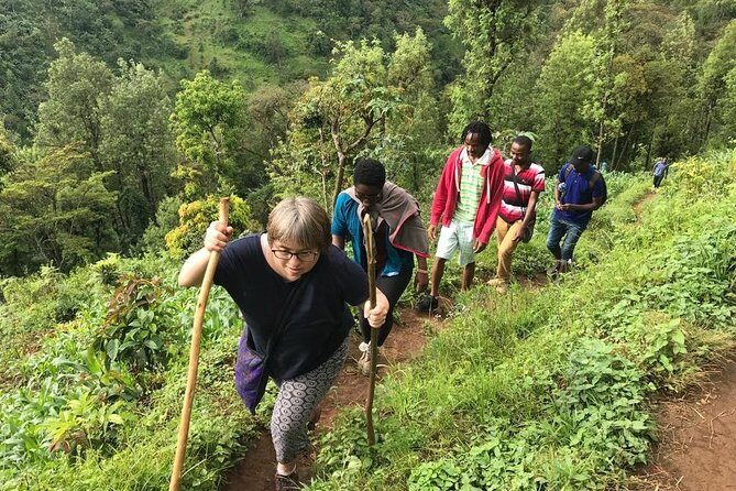 Materuni Waterfalls & Coffee Tour - A Detailed Look at the Tour Itself