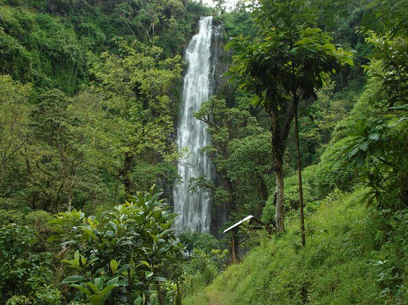 Materuni Waterfalls & Coffee Tour from Moshi - Who Should Consider This Tour?