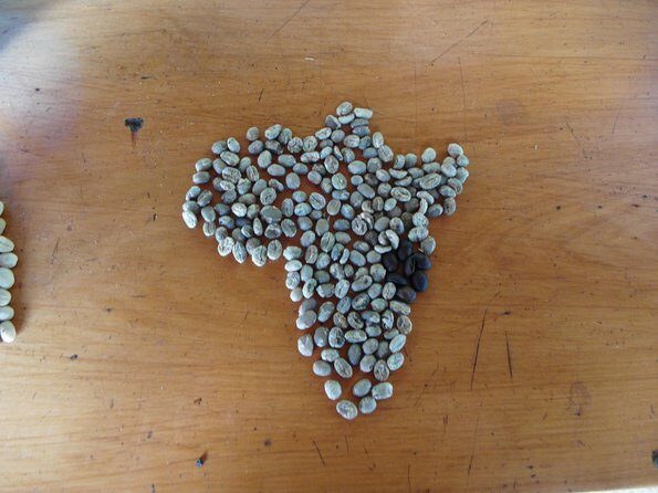 Materuni Waterfalls & Coffee Tour from Moshi - Final Thoughts