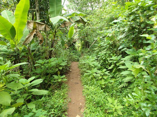 Materuni Waterfalls & Coffee Tour from Moshi - Frequently Asked Questions (FAQs)