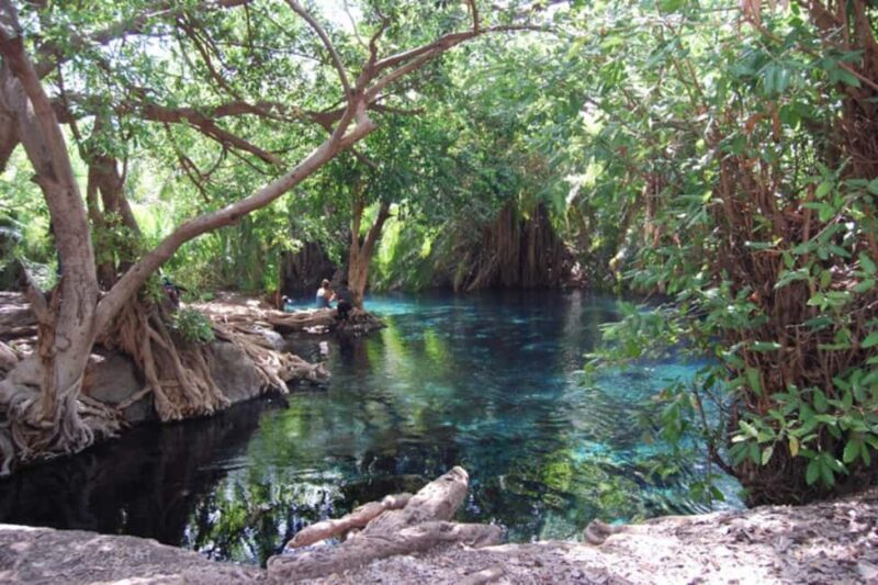 Materuni Waterfalls, Coffee tour, Hot Springs & Maasai Villa - Key Points