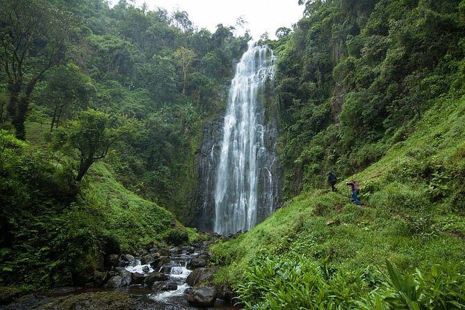 Materuni Waterfalls, coffee tour & Kikuletwa Hot Springs - Key Points