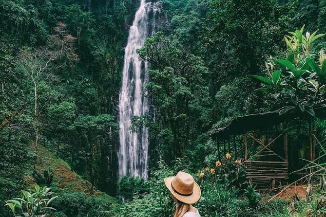 Materuni Waterfalls, coffee tour & Kikuletwa Hot Springs - What Makes This Tour Stand Out?
