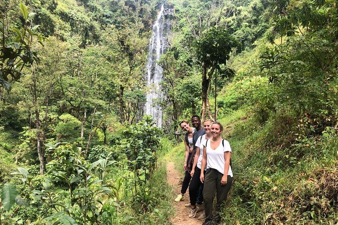 Materuni Waterfalls - Exploring Materuni Waterfalls: A Genuine Journey into Tanzania’s Natural and Cultural Gems